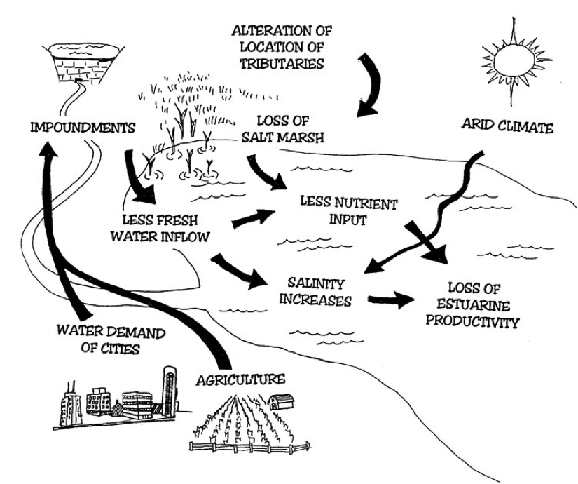 Alteration of Location of Tributaries.